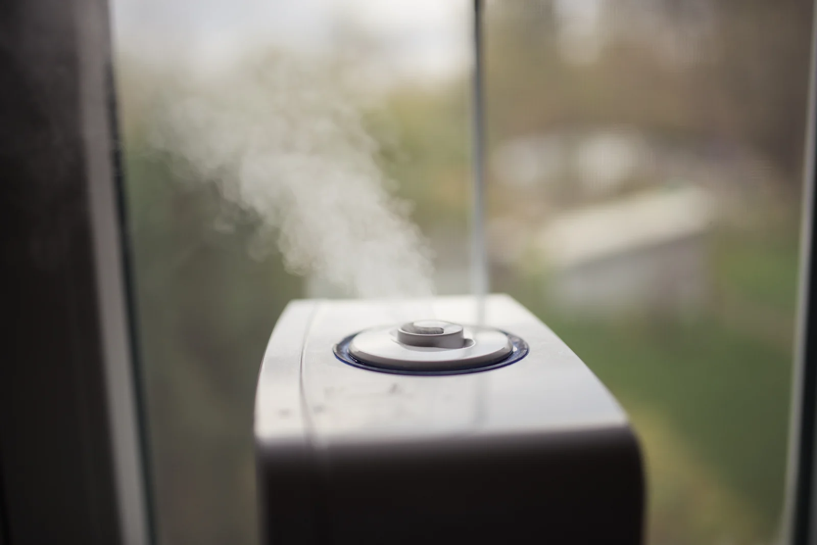 Nenad Stojković / Shixart1985 · Humidifier photograph